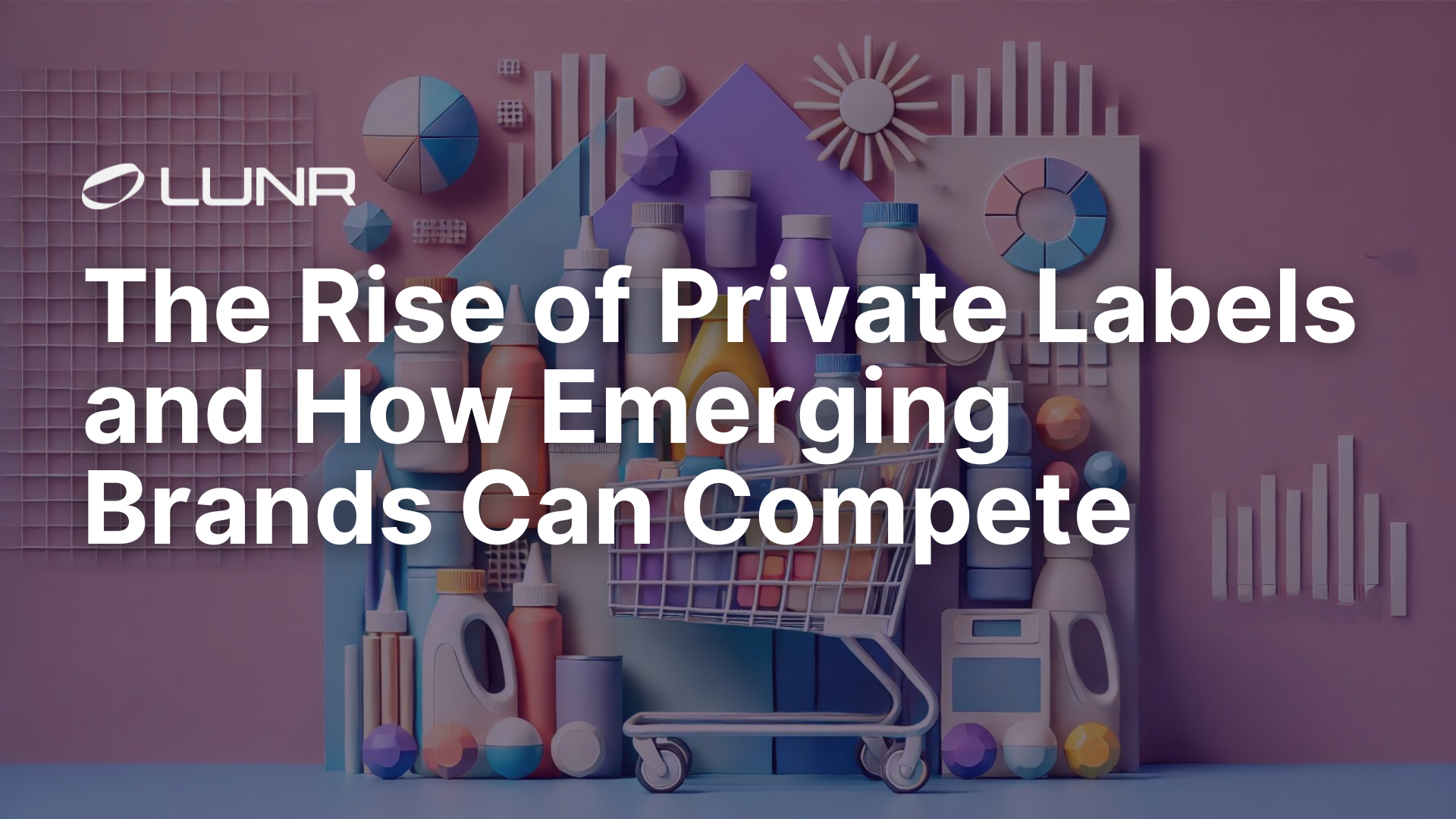 The Rise of Private Labels and How Emerging Brands Can Compete Cover